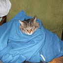 ���� ����, �����, 25 ��� - ��������� 30 ������ 2012 � ������ ������