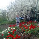 ���� ����, ��������, 49 ��� - ��������� 4 ���� 2011 � ������ �RoadKing�