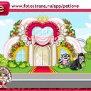  •°• ~~•°•, , 26  -  11  2010   PetLove