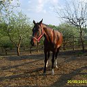  ., , 53  -  14  2009     .