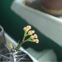   - , , 65  -  27  2012   