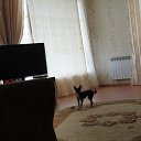 ���� �����, ������, 66 ��� - ��������� 7 ������ 2013 � ������ ���� ����������