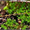 ���� ������, ������, 34 ���� - ��������� 26 ��� 2010 � ������ ����� � ��������