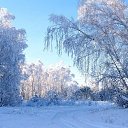 ���� ������, ����������, 44 ���� - ��������� 4 ������� 2011 � ������ ���� ����������