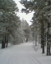 ���� Valerii, �����������, 61 ��� - ��������� 1 ������ 2012