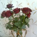 ���� ����, ��������, 49 ��� - ��������� 4 ���� 2011 � ������ �RoadKing�