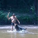 ���� ��������, ���������, 44 ���� - ��������� 18 ��� 2012 � ������ ���� ����������