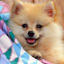  Lika,  -  3  2010      :)