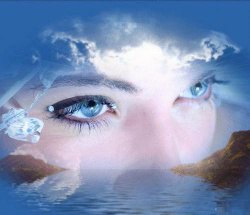 �����, ��������