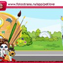  100, , 24  -  6  2010   PetLove