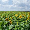 ���� �������, ������, 65 ��� - ��������� 4 ������ 2012 � ������ ���� ����������