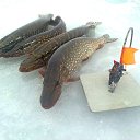 ���� ���������- ���� �������� !!, ������ - ��������� 9 ������� 2013 � ������ �9 ������� 2013� !!!!�