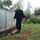  ,  , 42  -  4  2011     2010