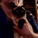 ���� ���@����@, �������, 49 ��� - ��������� 23 ������� 2010 � ������ ���� �����