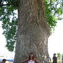 ���� ��������, ������, 46 ��� - ��������� 16 ������ 2010 � ������ ���� ����������