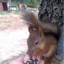 ���� �, ��������, 50 ��� - ��������� 13 ������� 2011