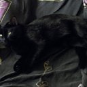 ���� Maximka, ���� - ��������� 15 ������ 2011 � ������ �������