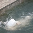 ���� ������� �����, ����������� - ��������� 29 ���� 2011 � ������ �������