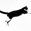 ���� ������, ���-����, 28 ��� - ��������� 15 ������� 2009 � ������ �����������