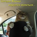 ���� ����, ������ - ��������� 7 �������� 2011 � ������ ���� ����������