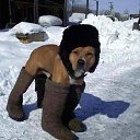 ���� Evgeniy, ������, 39 ��� - ��������� 10 ��� 2012