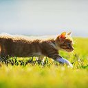 ���� �����, ����, 22 ���� - ��������� 2 ���� 2013