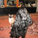 � �� ������- ��� �� �������� ������! �� ������� �������