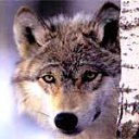  , --, 50  -  25  2011   