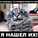 ���� ������, ������, 40 ��� - ��������� 26 ���� 2013 � ������ ������ ��������