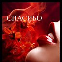  ****,  -  6  2010   *******ROSES*******