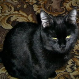 ���� �����, ������, 60 ��� - ��������� 11 ���� 2013