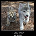 ���� ��������:maik 2134 ������"�������", �����-���������, 47 ��� - ��������� 10 ������� 2012 � ������ �������