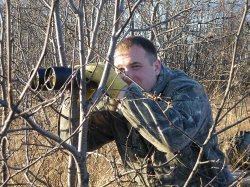 Gyrd, ����-���������, 41 ���