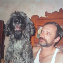 �����, ���������