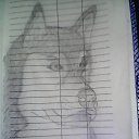 ���� ������, ����, 38 ��� - ��������� 22 ���� 2013 � ������ ���� ������� )))))�