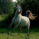 ���� ����..., ������-��-����, 63 ���� - ��������� 20 ��� 2012 � ������ �������