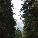 ���� �����, ������������, 32 ���� - ��������� 29 ������� 2011 � ������ �������