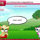  , , 22  -  29  2010   PetLove