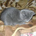 ���� �����, �������, 56 ��� - ��������� 29 ������� 2012 � ������ ������� �������