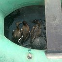 ���� �������, ������, 41 ��� - ��������� 18 �������� 2012 � ������ �� � �� ��� ���