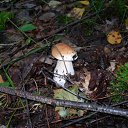 ���� ��� �����, ������� - ��������� 8 �������� 2012 � ������ �������,������� ��,�� �� ��� �����������..!�