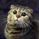 ���� ���, ��������, 47 ��� - ��������� 27 ������� 2012 � ������ �������