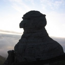 �������, ����, 44 ����