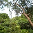  Nika, , 43  -  17  2012    