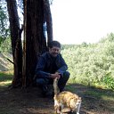 ���� ������, ����, 54 ���� - ��������� 31 ������ 2010