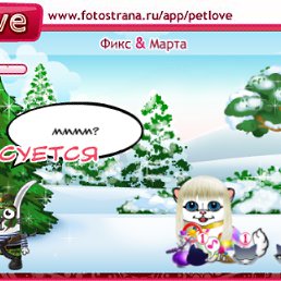 ���� �����������, �����������, 41 ��� - ��������� 27 ������� 2011