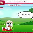  , , 34  -  14  2010   PetLove