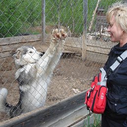 ������, �������������-����������, 56 ���