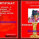 ���� ����, ���, 27 ��� - ��������� 6 �������� 2011 � ������ ���� ����������