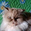 ���� �������, ������ - ��������� 23 ������� 2012 � ������ ���� ����������